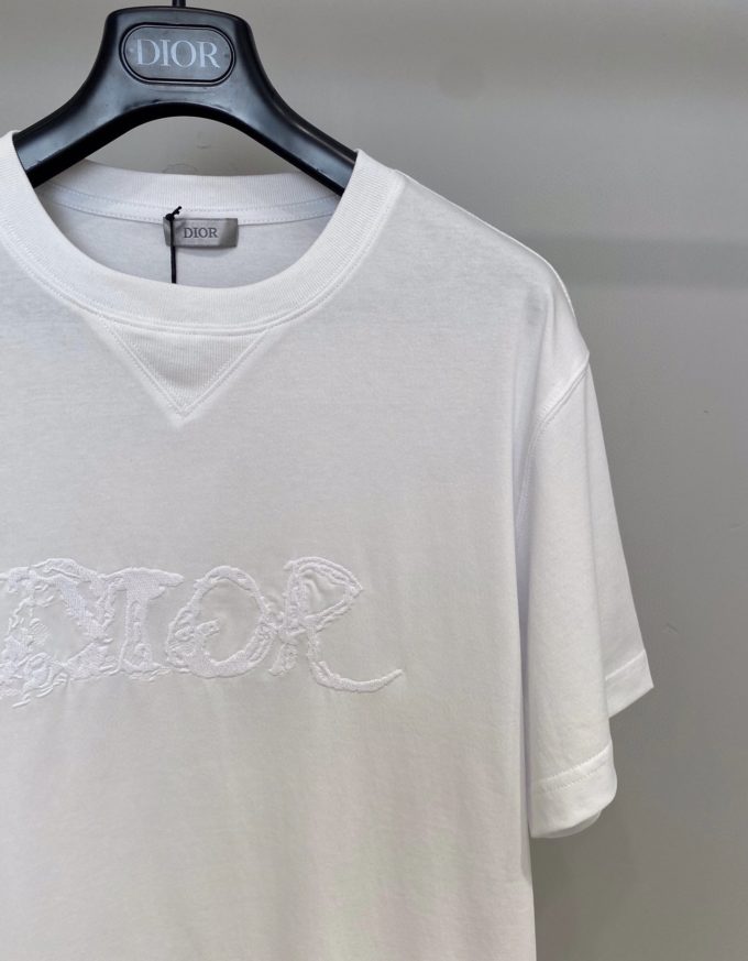 Oversized Dior And Peter Doig T-shirt – billionairemart