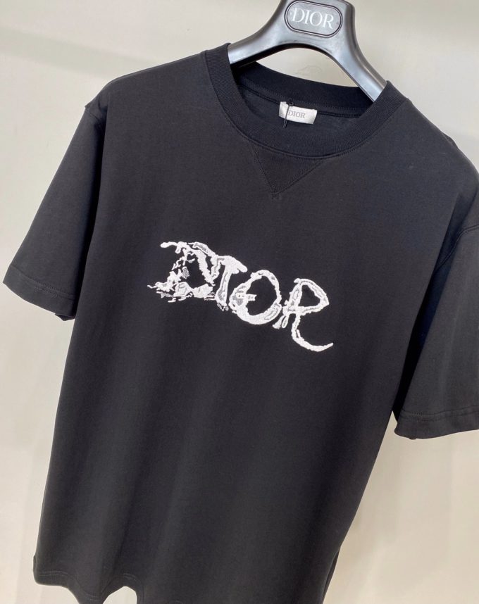 Oversized Dior And Peter Doig T-shirt – billionairemart