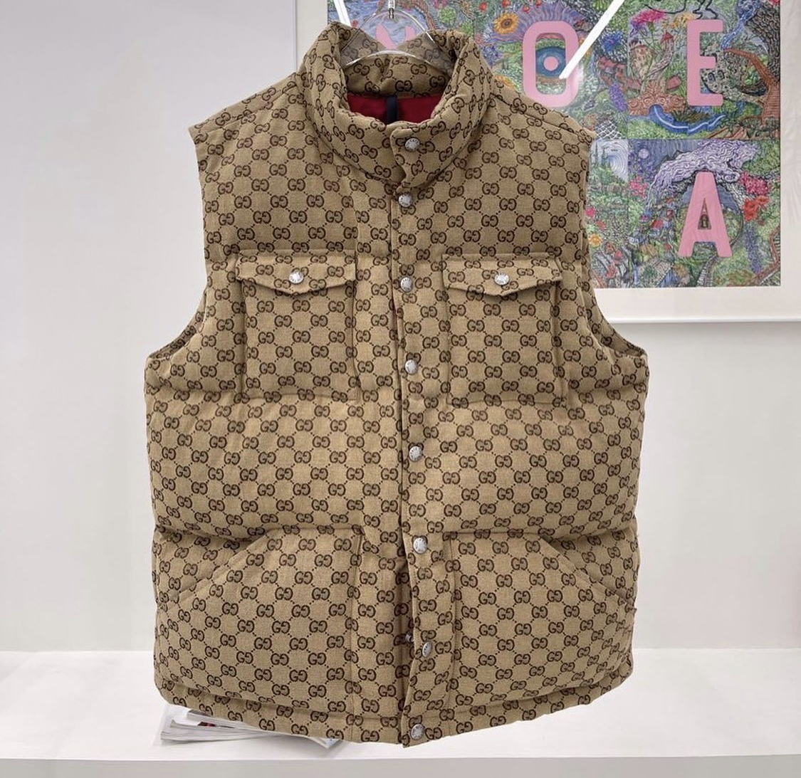 The North Face x Gucci down vest – billionairemart